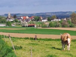 Bike-Hohenstoffel_2025